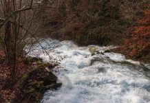 Unterstützung für Vorarlberger Gemeinden bei Wildbach- und Lawinenverbauung